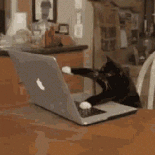 Github stats